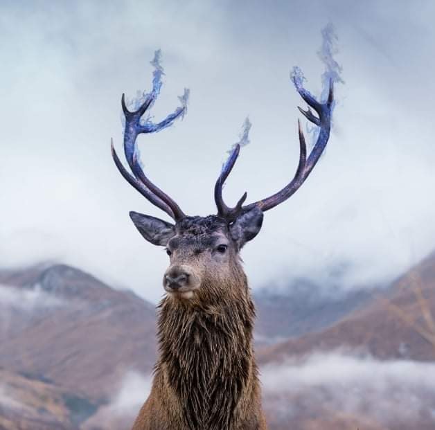 Grafika jelenia z rogami ozdobionymi efektem dymu na tle górskim.