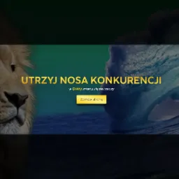 Grafika z lwem i falą, hasłem 'Utrzyj nosa konkurencji' i przyciskiem 'Zamów stronę', nawiązująca do strony internetowej Quixy.pl.