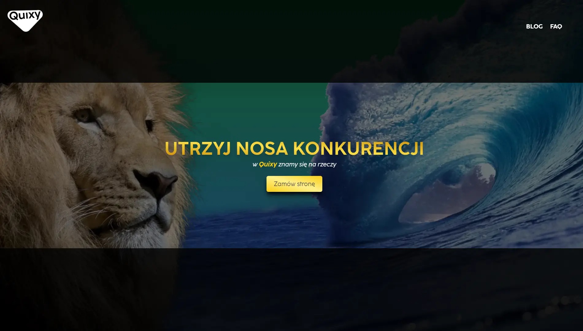 Grafika z lwem i falą, hasłem 'Utrzyj nosa konkurencji' i przyciskiem 'Zamów stronę', nawiązująca do strony internetowej Quixy.pl.