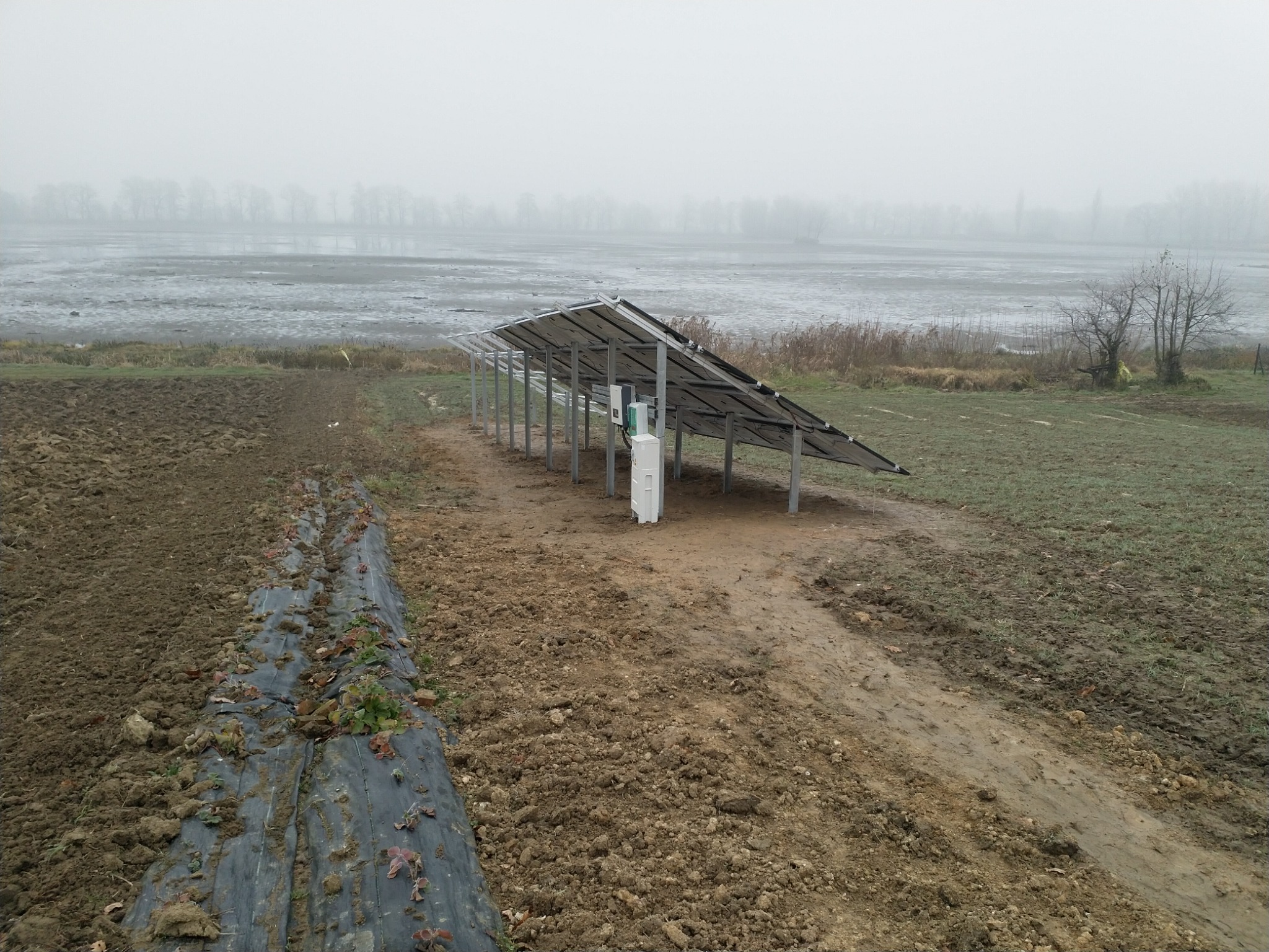 Panel słoneczny ustawiony na polu w mglisty dzień, z widocznymi brzegami zbiornika wodnego w tle.