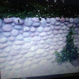 KAMSTEN kamieniarstwo budowlane - Kamienny murek w Krakowie, wykonany z otoczaków, porośnięty bluszczem i roślinnością w górnej części.