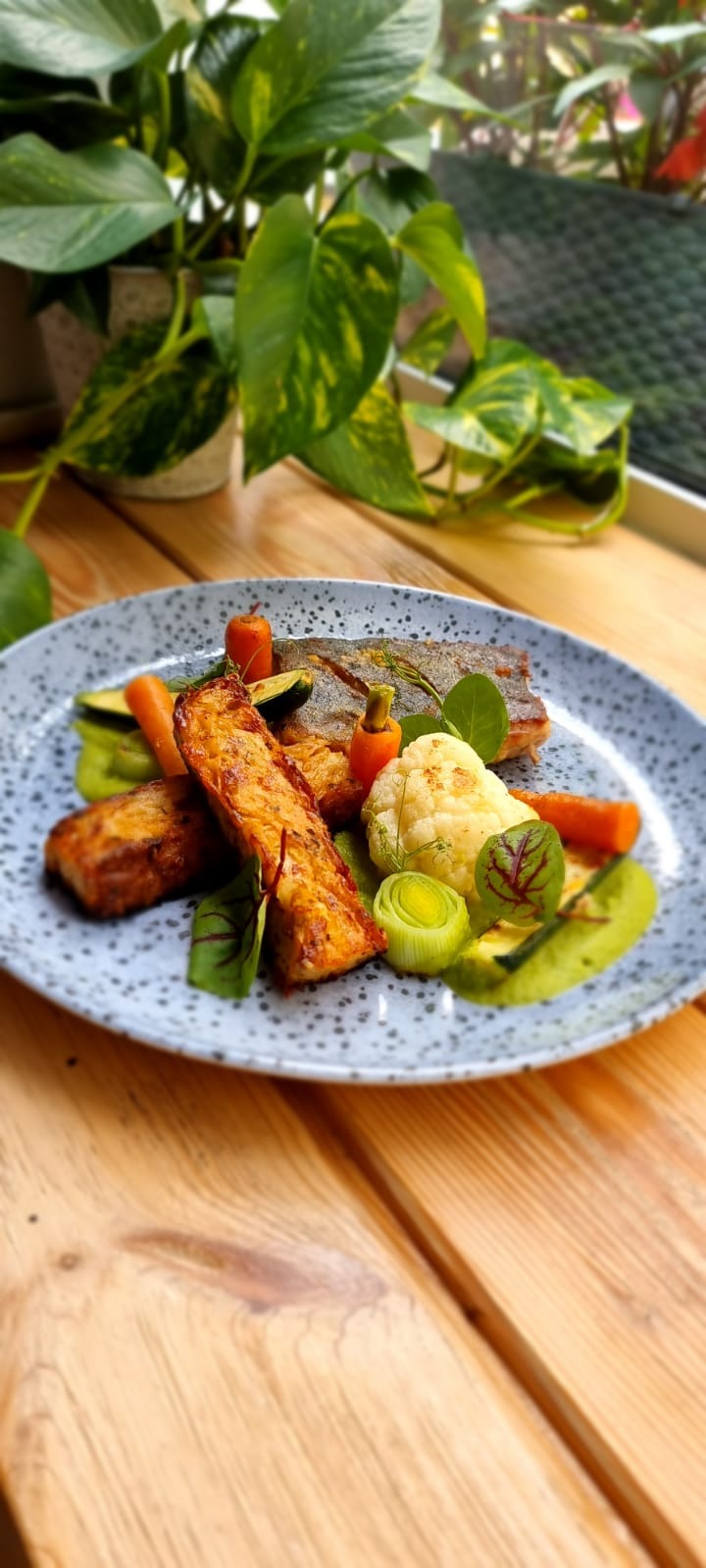 Elegancko podane danie z ryby, zapiekanki ziemniaczanej, kalafiora, marchewki, pora i zielonego puree na talerzu w kropki, na drewnianym stole, z rośliną w tle.