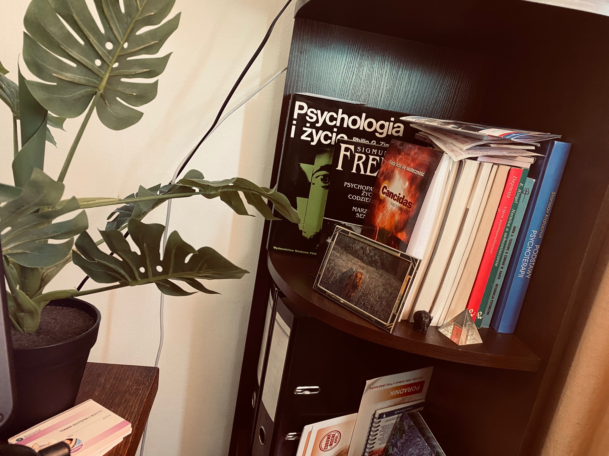 Półka z książkami o tematyce psychologicznej, w tym 'Psychologia i życie' obok rośliny doniczkowej monstera i ramki ze zdjęciem.