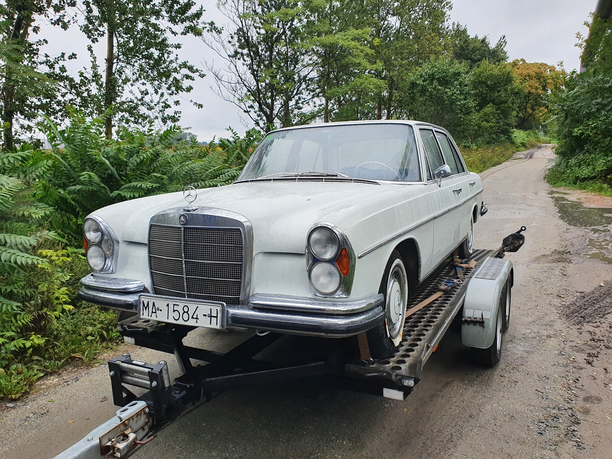Biały, klasyczny Mercedes-Benz W114 z tablicą rejestracyjną MA-1584-H transportowany na szarej, dwuosiowej lawecie na tle leśnej drogi.