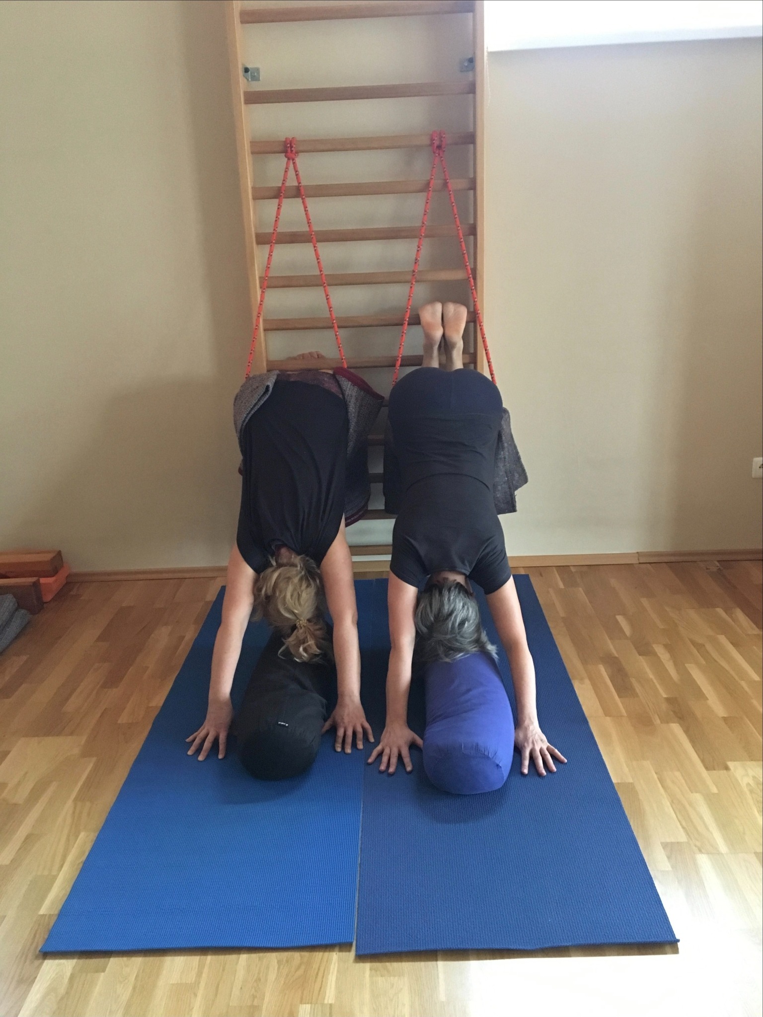 Dwie osoby w pozycji psa z głową w dół, używające drabinki gimnastycznej z czerwonymi linami i poduszek do ćwiczeń na niebieskich matach.