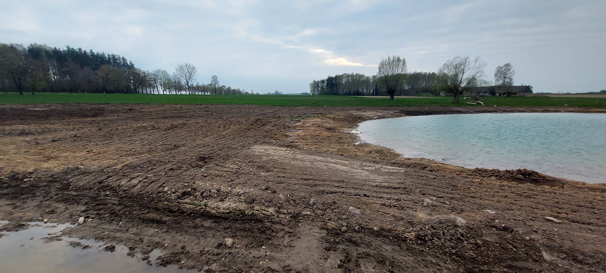 Skarpowanie brzegów stawu.