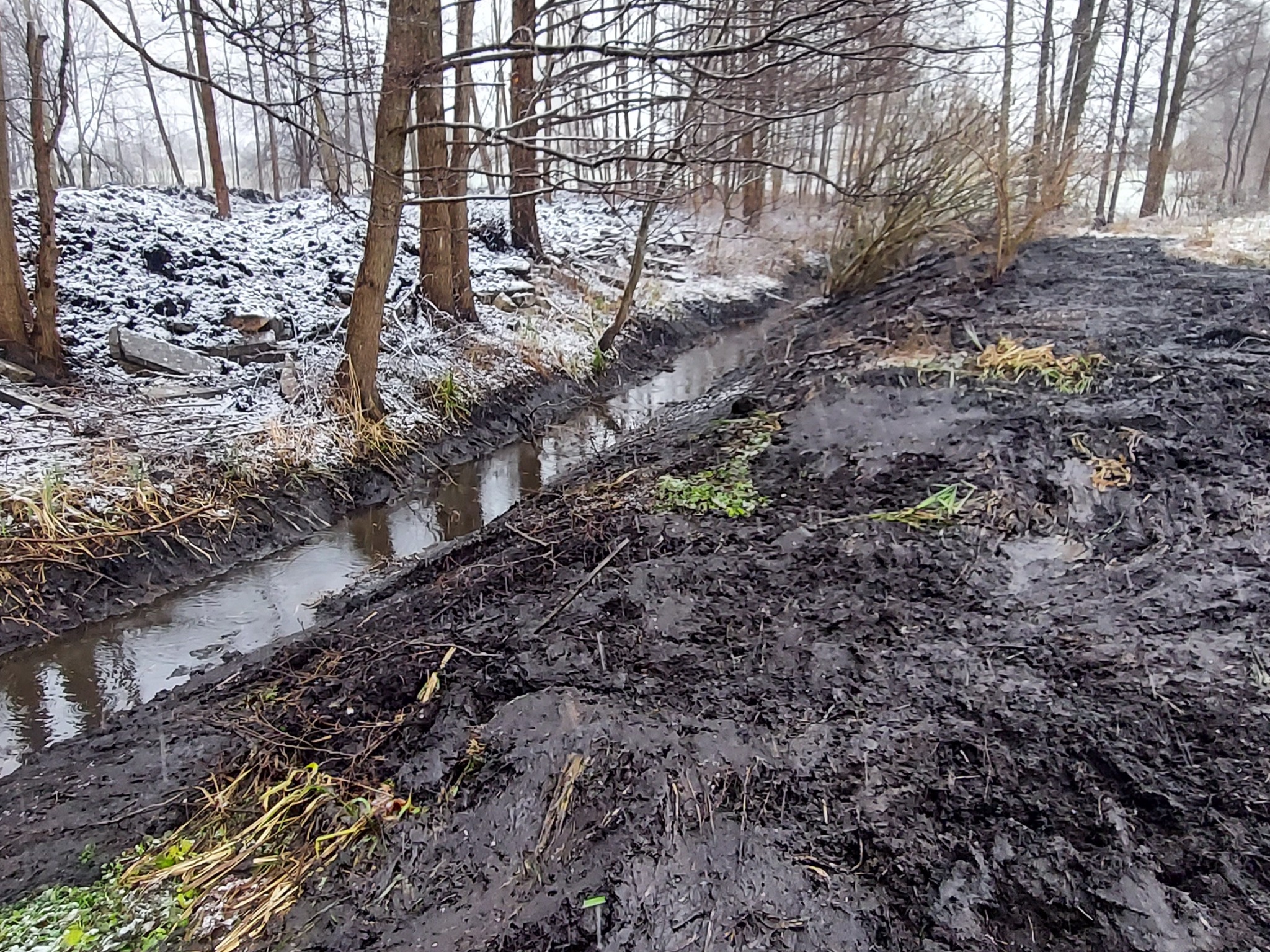 Kopanie rowu z rozplantowaniem na podmokłym terenie torfowym.