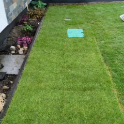 Świeżo ułożona trawa z rolki, widoczna linia łączenia z istniejącym trawnikiem, zielona pokrywa studzienki na trawniku, rabata kwiatowa wzdłuż ściany budynku.