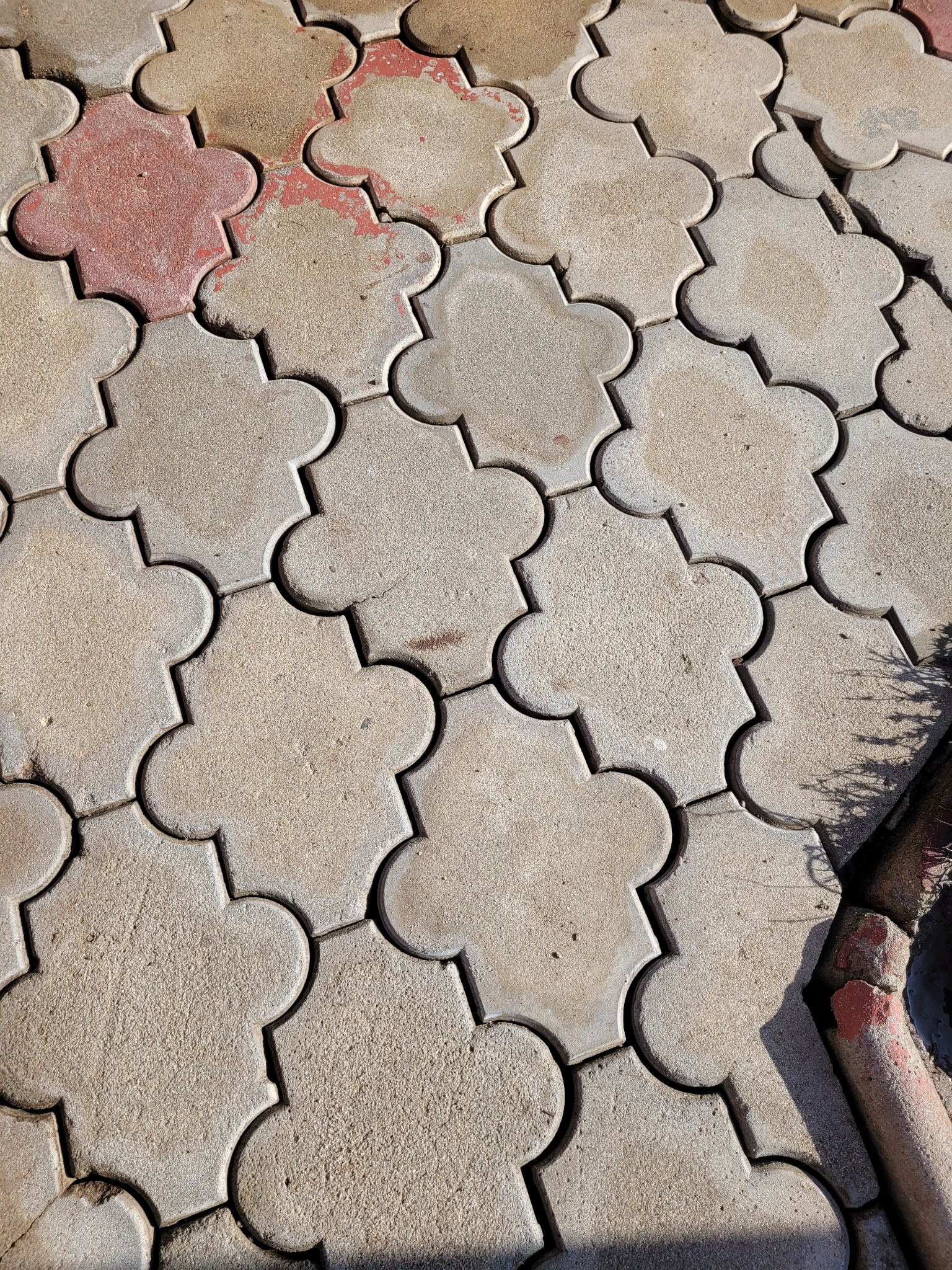 Ułożona kostka brukowa w kształcie koniczyny, częściowo zabrudzona, z fragmentem czerwonej rury w prawym dolnym rogu. Widoczne cienie roślin.