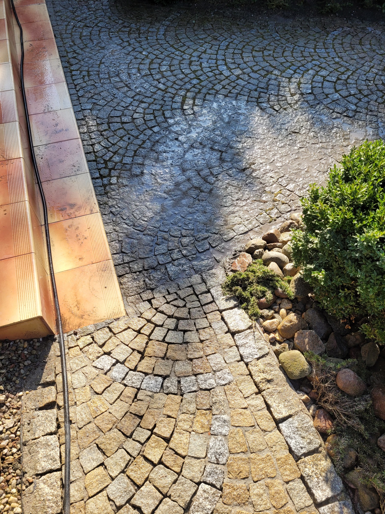 Fragment kostki brukowej, część mokra po czyszczeniu, część sucha, widoczne schody z terakoty i zieleń. Kontrast czystości i zabrudzeń.