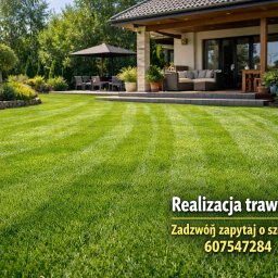 Grupa SFT Damian Bierzyński - Mycie dach&oacute;w Ruda Śląska