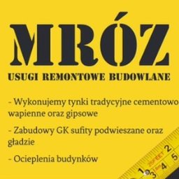 Mróz - Wyjątkowe Tynkowanie