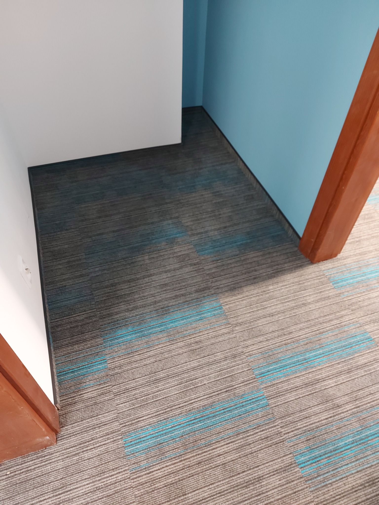 Szara wykładzina dywanowa w pasy z turkusowymi akcentami, ułożona w rogu pomieszczenia z niebieską ścianą i fragmentem białej ściany, widoczny fragment brązowej futryny drzwi.