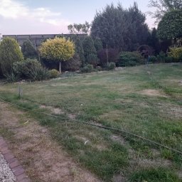 Trawa z rolki Rogaszyce 1