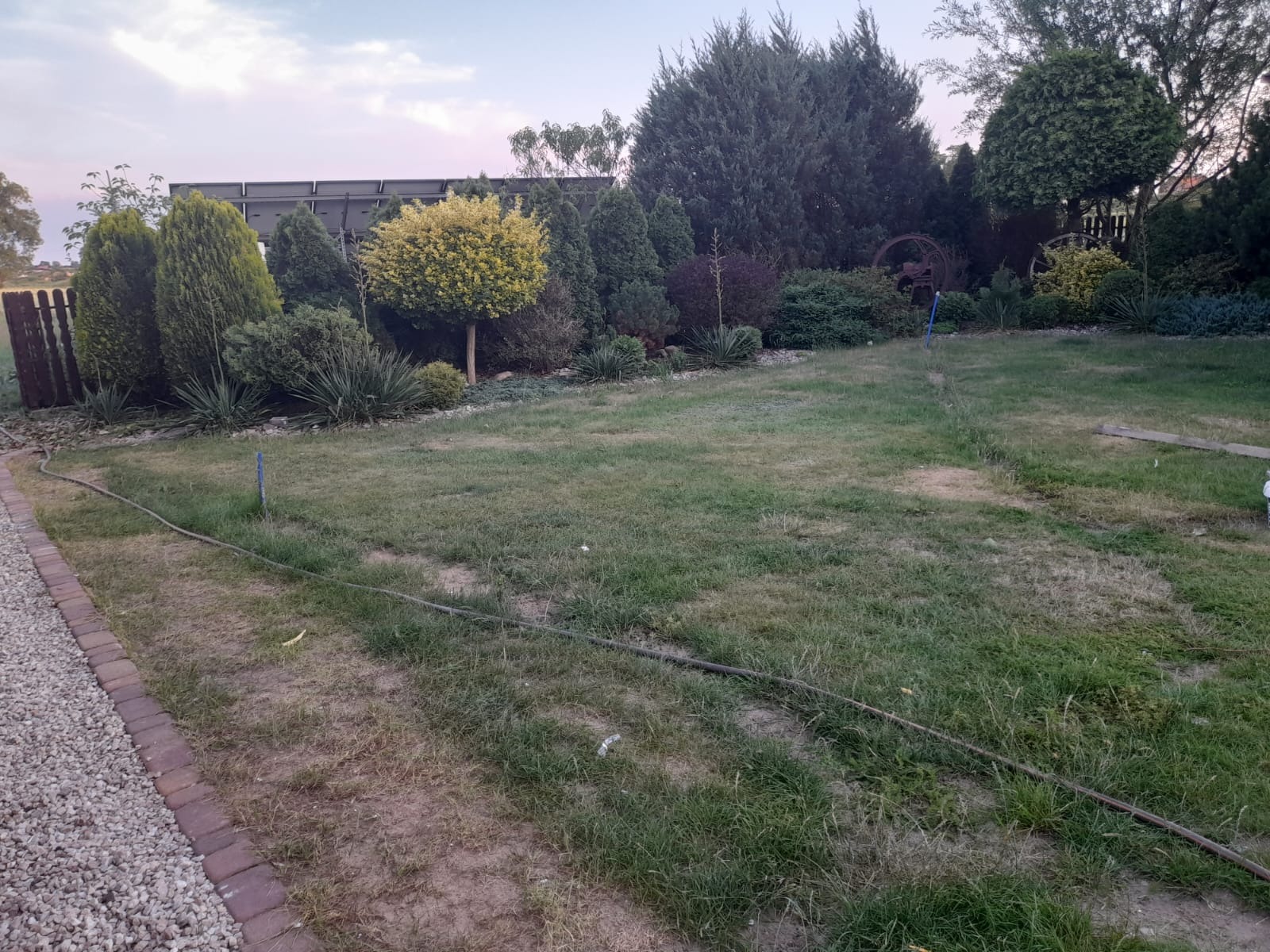 Widok ogrodu z różnorodnymi nasadzeniami: iglaki, krzewy liściaste, trawa. W tle widoczne elementy dekoracyjne i ogrodzenie.