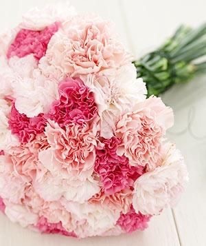 Bukiet goździków w odcieniach różu i bieli, ułożony w zwartą kompozycję.