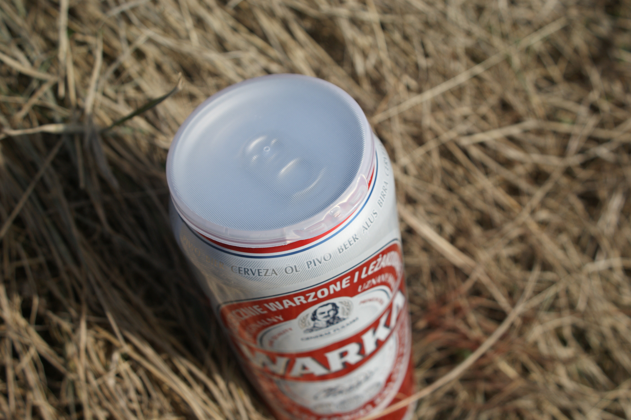 Puszka piwa Warka z plastikową nakładką na tle suchej trawy, widok z góry.