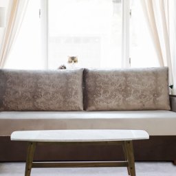 Meble Tapicerowane Paweł Szymkowiak - Dwukolorowa sofa z wzorzystymi poduszkami i małym stolikiem kawowym na tle okna z kotem, w jasnym, minimalistycznym wnętrzu.