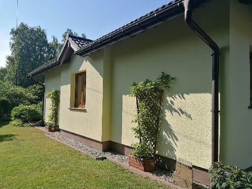 Żółta elewacja domu jednorodzinnego z brązowymi rynnami, widoczne rośliny pnące przy ścianie i małe okno.