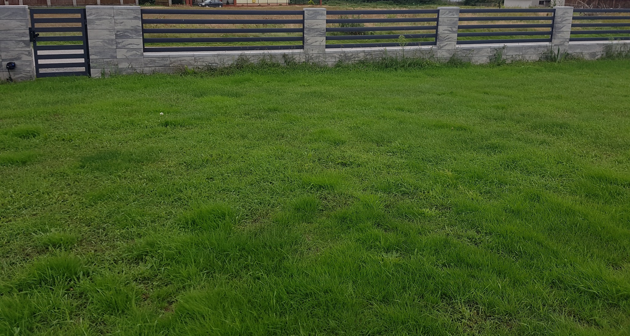 Nowoczesne ogrodzenie panelowe z elementami betonowymi, widok na trawnik, brama furtki po lewej stronie.