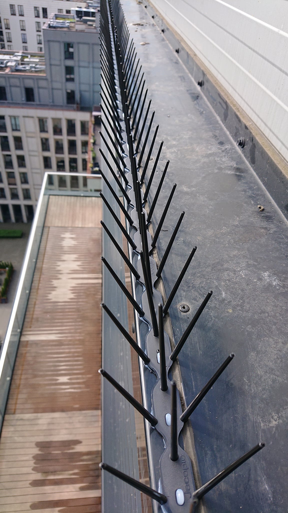 Montaż kolców przeciw ptakom na dachu budynku w Warszawie, widok z góry na zainstalowane zabezpieczenie z tworzywa sztucznego.