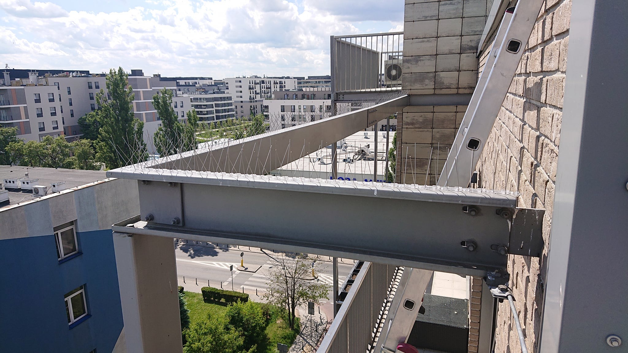 Montaż kolców (zabezpieczenie przeciw ptakom)