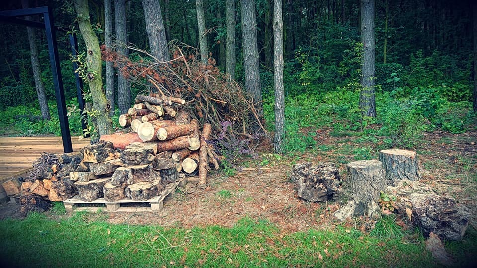 Stos pociętego drewna ułożonego na palecie w leśnym otoczeniu, widoczne pnie drzew i ścięte pniaki