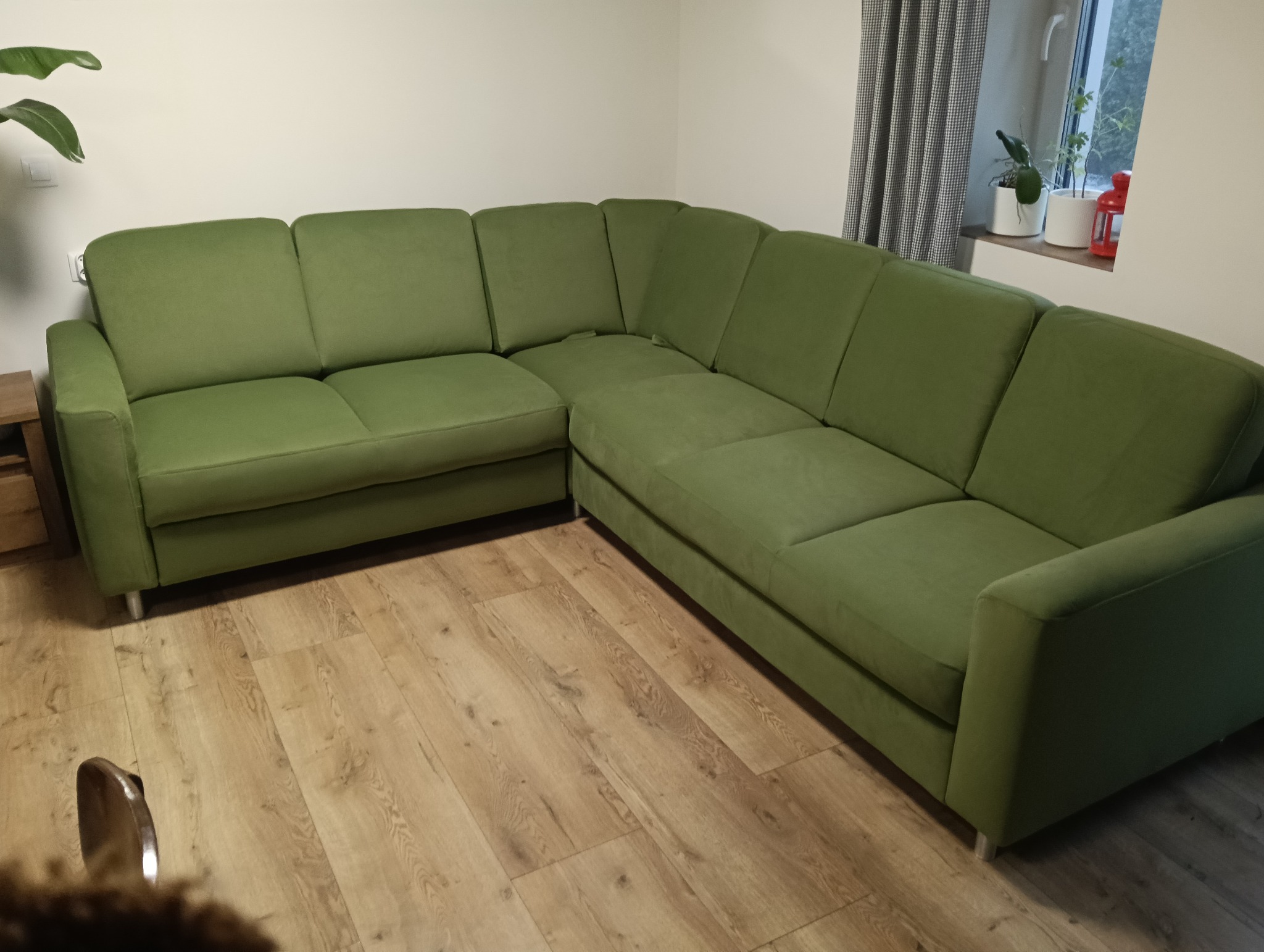 Zielony narożnik z welurową tapicerką na drewnianej podłodze. W tle okno z zasłonami i roślinami doniczkowymi. Minimalistyczny styl.