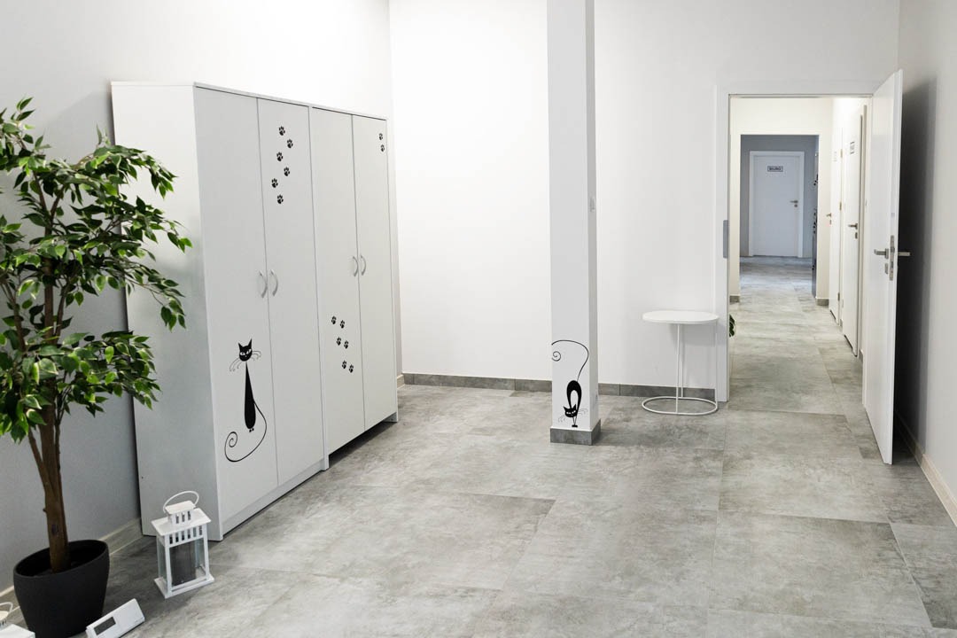 Jasne wnętrze z białymi szafkami ozdobionymi czarnymi sylwetkami kotów i śladami łap, zielona roślina w doniczce i biała latarenka, w tle korytarz z białymi drzwiami.