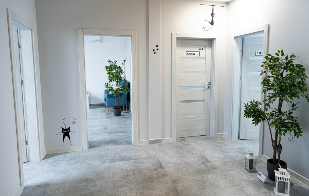 Korytarz gabinetów z dekoracjami ściennymi w postaci czarnych kotów, drzwi z tabliczkami 'Gabinet 4' i 'Gabinet', szare płytki podłogowe, roślina doniczkowa i lampiony dekoracyjne.