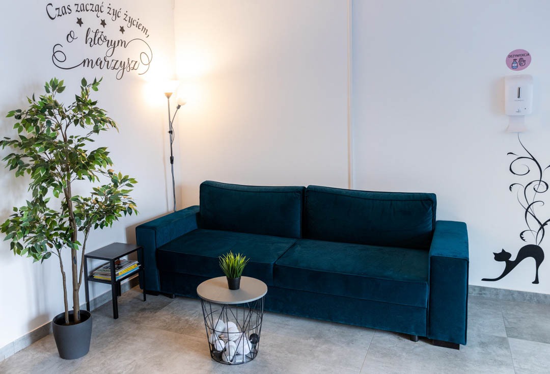Poczekalnia z turkusową sofą, lampą podłogową, rośliną doniczkową i dekoracyjnymi naklejkami ściennymi z motywem kota i cytatem 'Czas zacząć żyć życiem, o którym marzysz'.