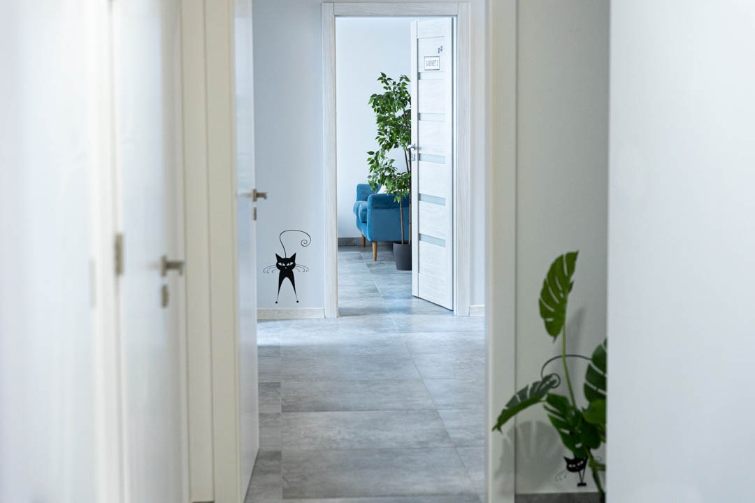 Jasny korytarz z szarymi płytkami, białymi drzwiami i dekoracyjnymi naklejkami z motywem kota, widok na gabinet z niebieską sofą i rośliną doniczkową