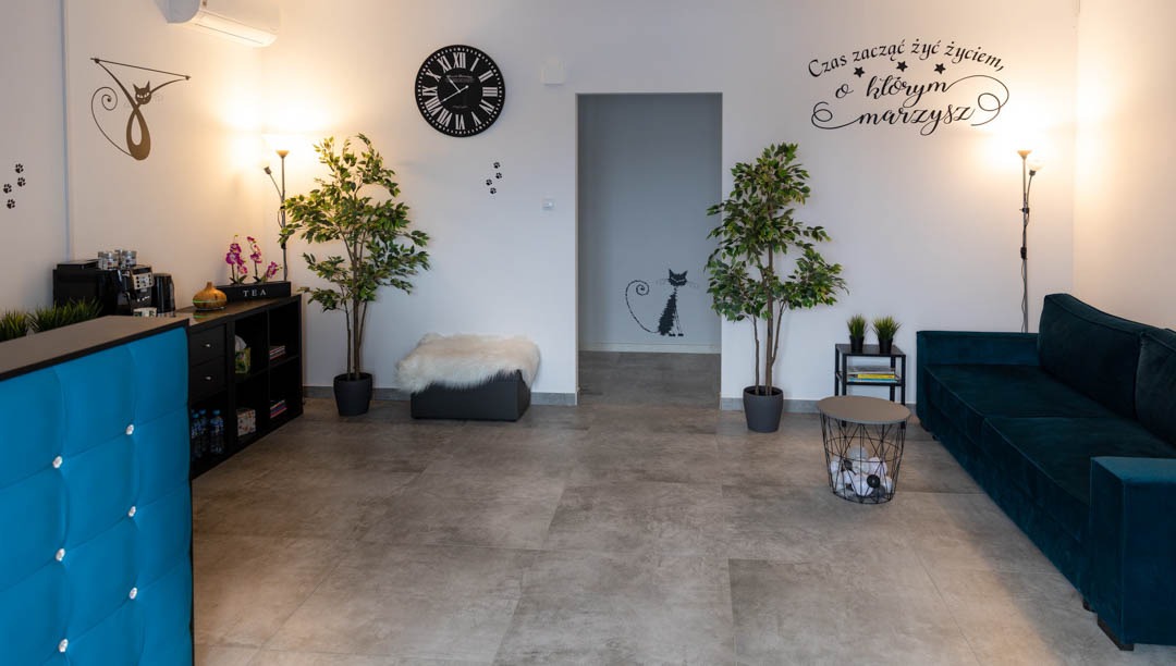 Jasne wnętrze gabinetu z recepcją, kanapą, roślinami doniczkowymi i dekoracjami ściennymi z motywem kota oraz motywacyjnym napisem 'Czas zacząć żyć życiem, o którym marzysz'.