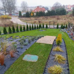 Nowo założony trawnik z rolki, obrzeża rabat wyłożone czarną agrowłókniną, świeżo posadzone tuje szmaragd, drewniany chodnik i ozdobne trawy, widok z góry na ogród w trakcie realizacji, jesienna...