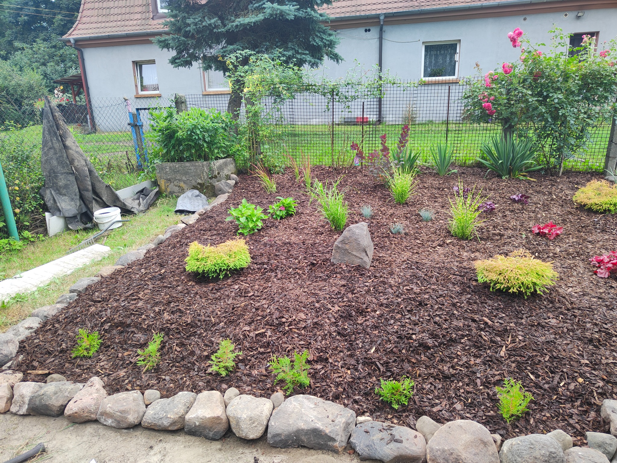 Nowo założony ogród z korą, kamieniami i młodymi roślinami ozdobnymi, widok z przodu na tle domu jednorodzinnego.
