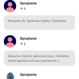 Wyprowadzanie psów Pruszków 3
