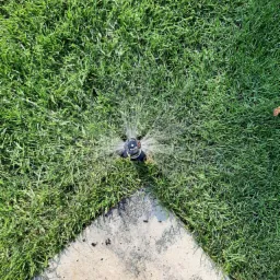 Zraszacz rotacyjny nawadnia trawnik, widok z góry na świeżą, zieloną trawę i tryskającą wodę, obok krawężnik z betonu.