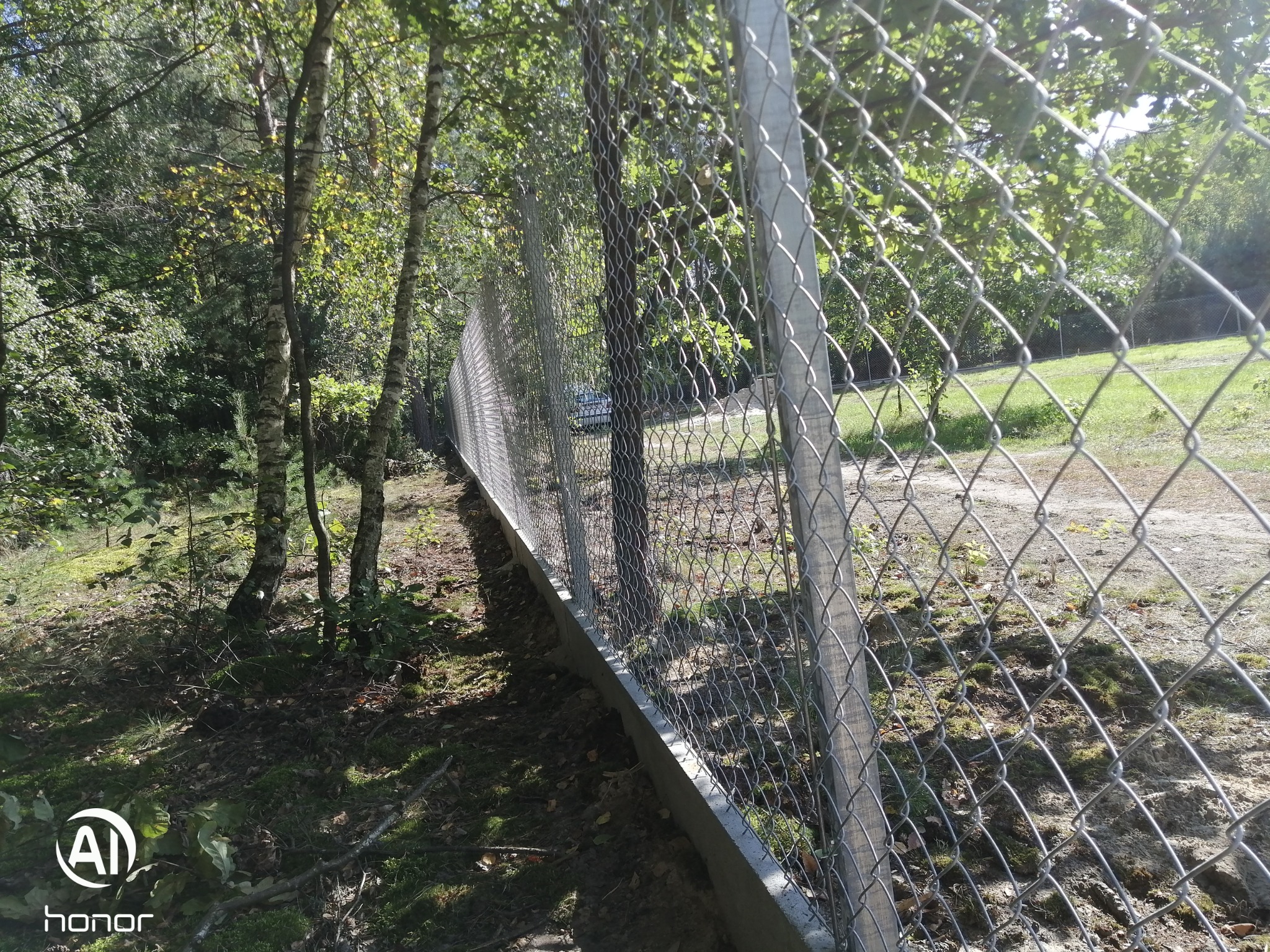 Długi, metalowy płot z siatki rozciągnięty wzdłuż granicy działki porośniętej drzewami i trawą, widoczne słupki i betonowa podmurówka.