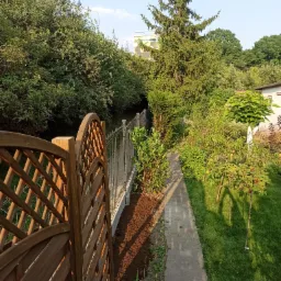 Widok na zadbany ogród z drewnianym płotem, świeżo obsadzonymi roślinami wzdłuż metalowego ogrodzenia, zielonym trawnikiem i ścieżką, z drzewami w tle.