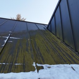 ŁUKASZ ZIELONKA CONSULTING - Zabrudzony dach z blachy na budynku, częściowo pokryty śniegiem. Widoczne zacieki i zabrudzenia na powierzchni dachu. Ujęcie z dołu, w tle fragment drzewa.