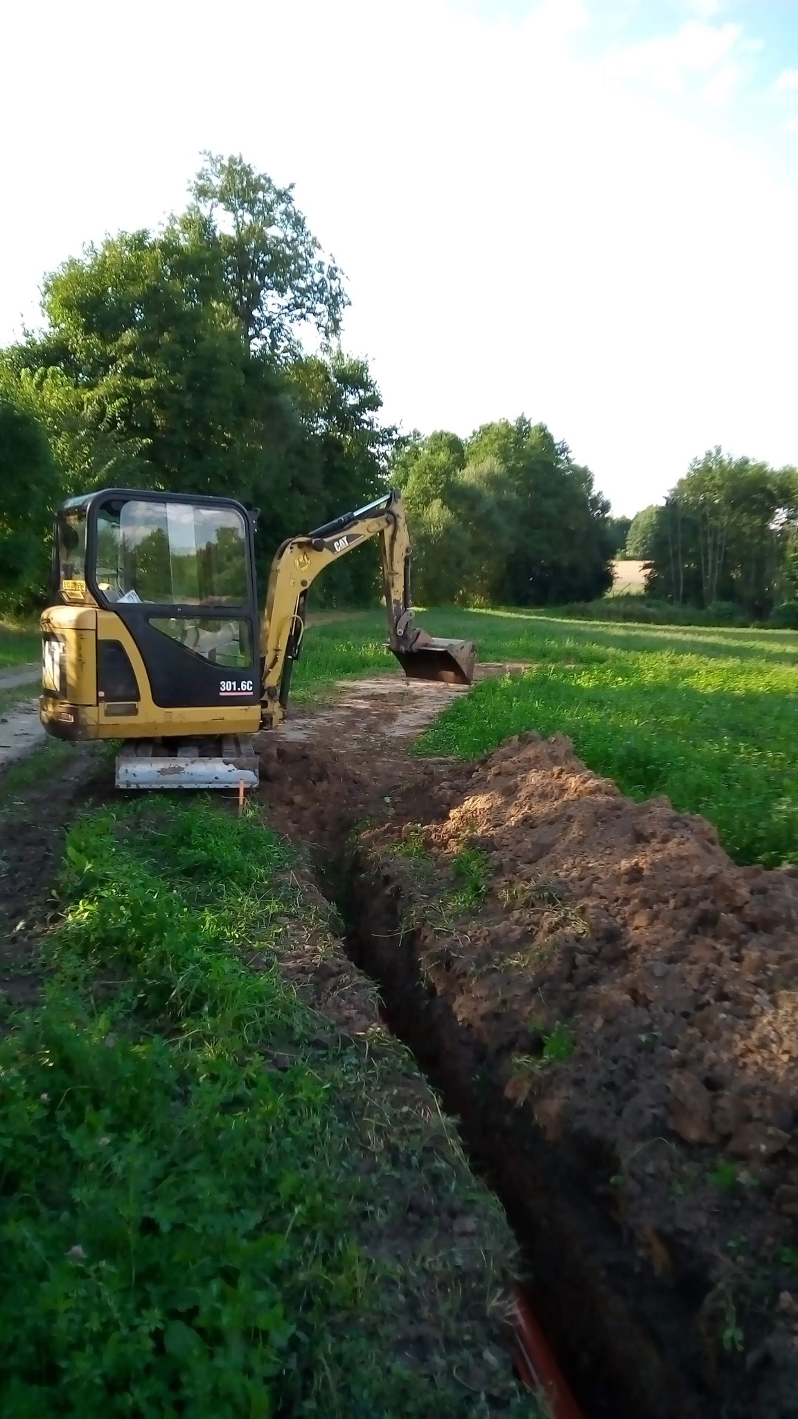 Żółta minikoparka CAT 301.6C wykonuje wąski wykop w ziemi na zewnątrz, na tle zielonego pola i drzew.