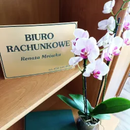 Złota tabliczka z napisem 'Biuro Rachunkowe Renata Mrówka' i numerem telefonu, obok storczyk w doniczce i zielony segregator na drewnianej półce.