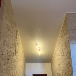 BestTiler - Wnętrze korytarza z dekoracyjną ścianą z kamienia, gładkim sufitem z oświetleniem punktowym i widoczną drabiną w tle.