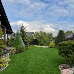 Zadbany trawnik z równo przystrzyżoną trawą, otoczony różnorodnymi drzewami iglastymi i krzewami ozdobnymi, z widocznym fragmentem domu z drewnianą pergolą i dekoracyjnym oświetleniem, na tle...