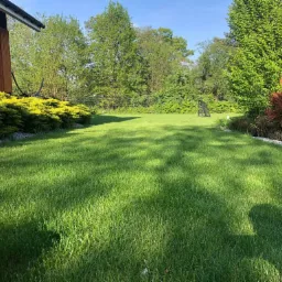 Świeżo skoszony trawnik z widocznym fragmentem domu z drewnianą elewacją, ozdobnymi krzewami i bramką piłkarską w tle, skoszona trawa równa i zielona.