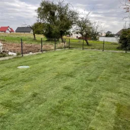 Świeżo rozłożony trawnik z rolki, ogrodzony siatką, z widocznymi drzewami w tle i studzienką kanalizacyjną po lewej stronie.