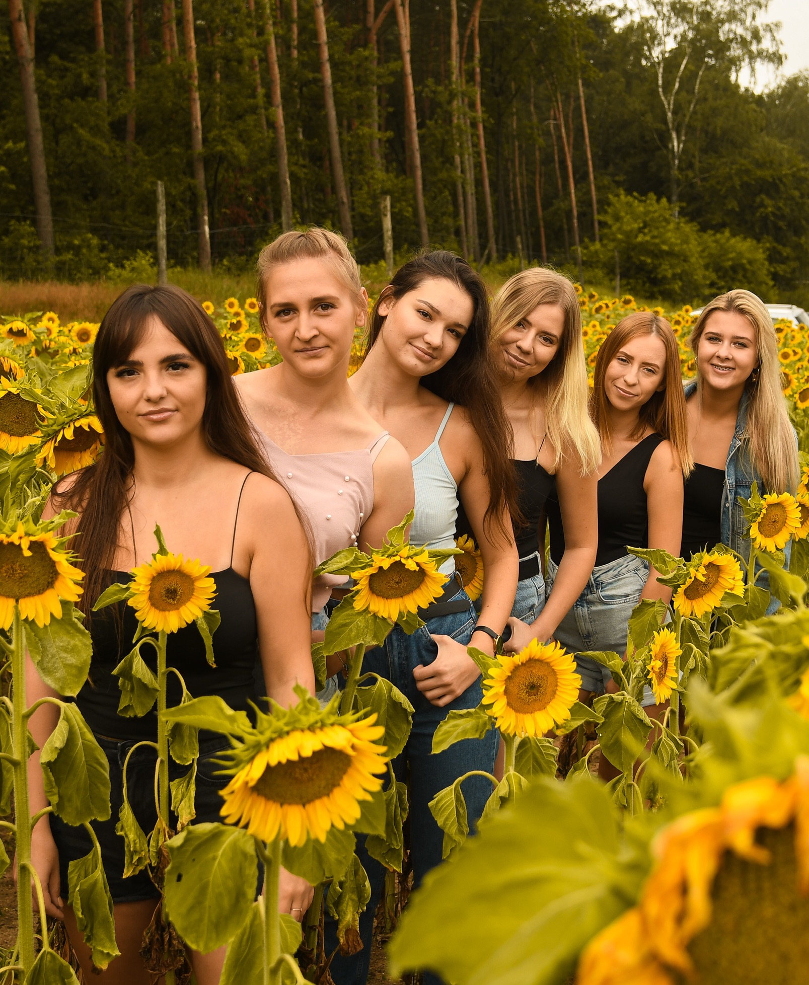 Sześć młodych kobiet pozuje w polu słoneczników, ubrane w letnie ubrania, z lasem w tle.