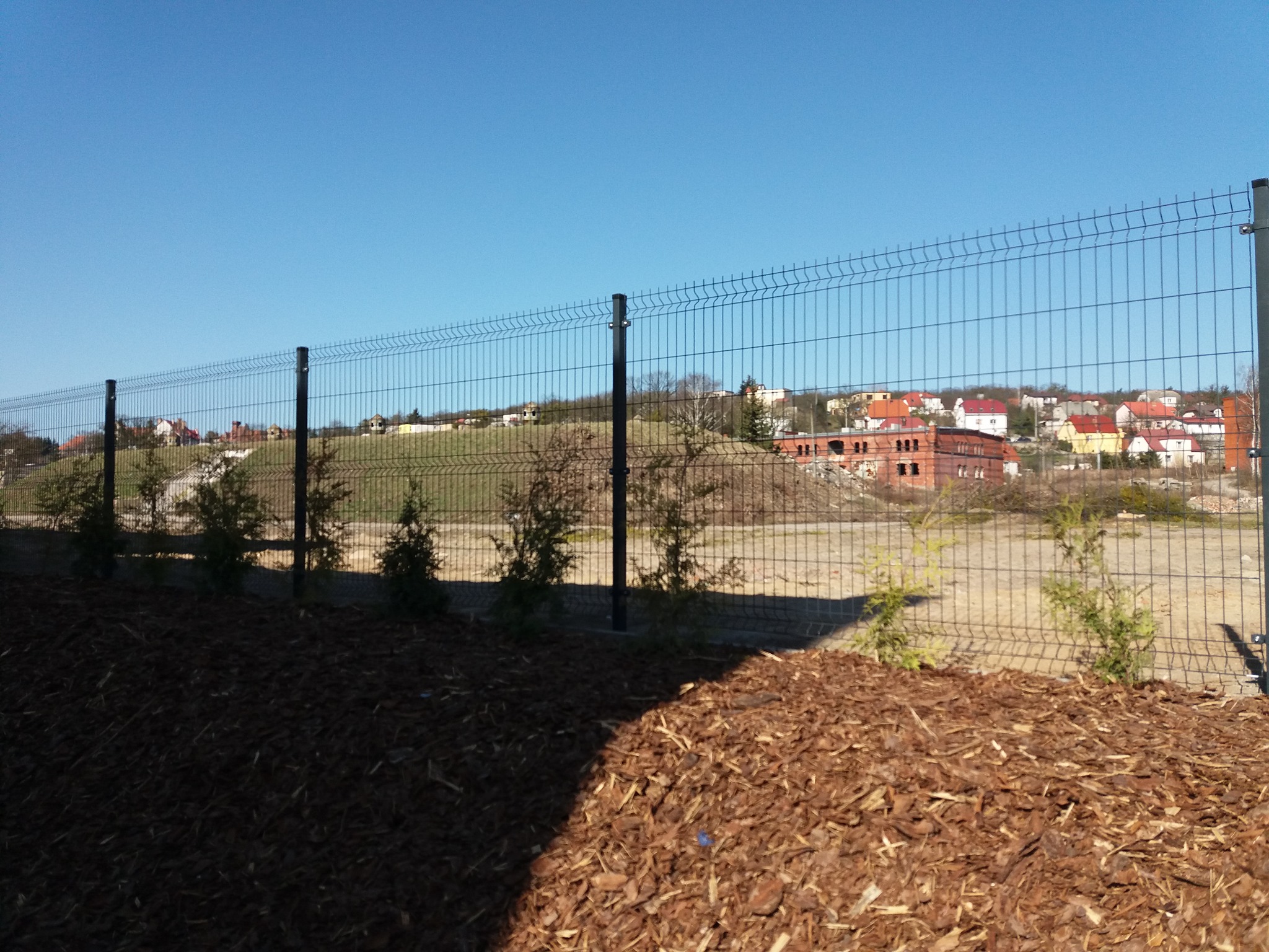 Nowoczesne ogrodzenie panelowe w Grudziądzu, z młodymi iglakami posadzonymi wzdłuż linii ogrodzenia, na tle zabudowy miejskiej pod błękitnym niebem.