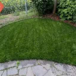 Perfekcyjnie przystrzyżony, półkolisty trawnik z obrzeżem z kamiennych płyt, w tle zielona roślinność i żółte kwiaty rzepaku za ogrodzeniem.