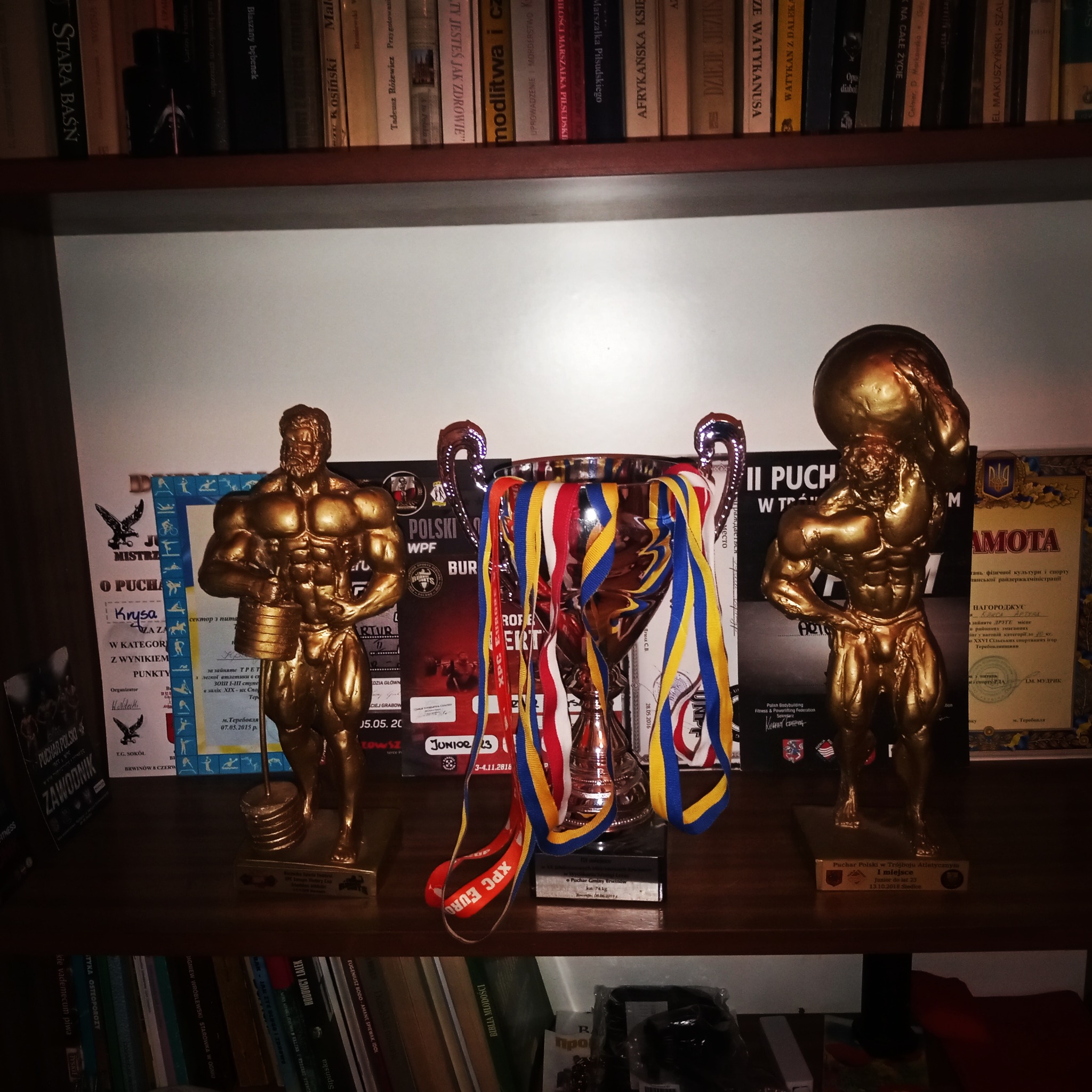 Półka z książkami i trofeami: statuetki kulturystów, puchar z medalami i dyplomy za osiągnięcia sportowe w trójboju siłowym.